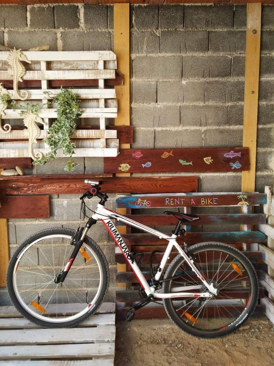 Apartment Radnic Pag Town