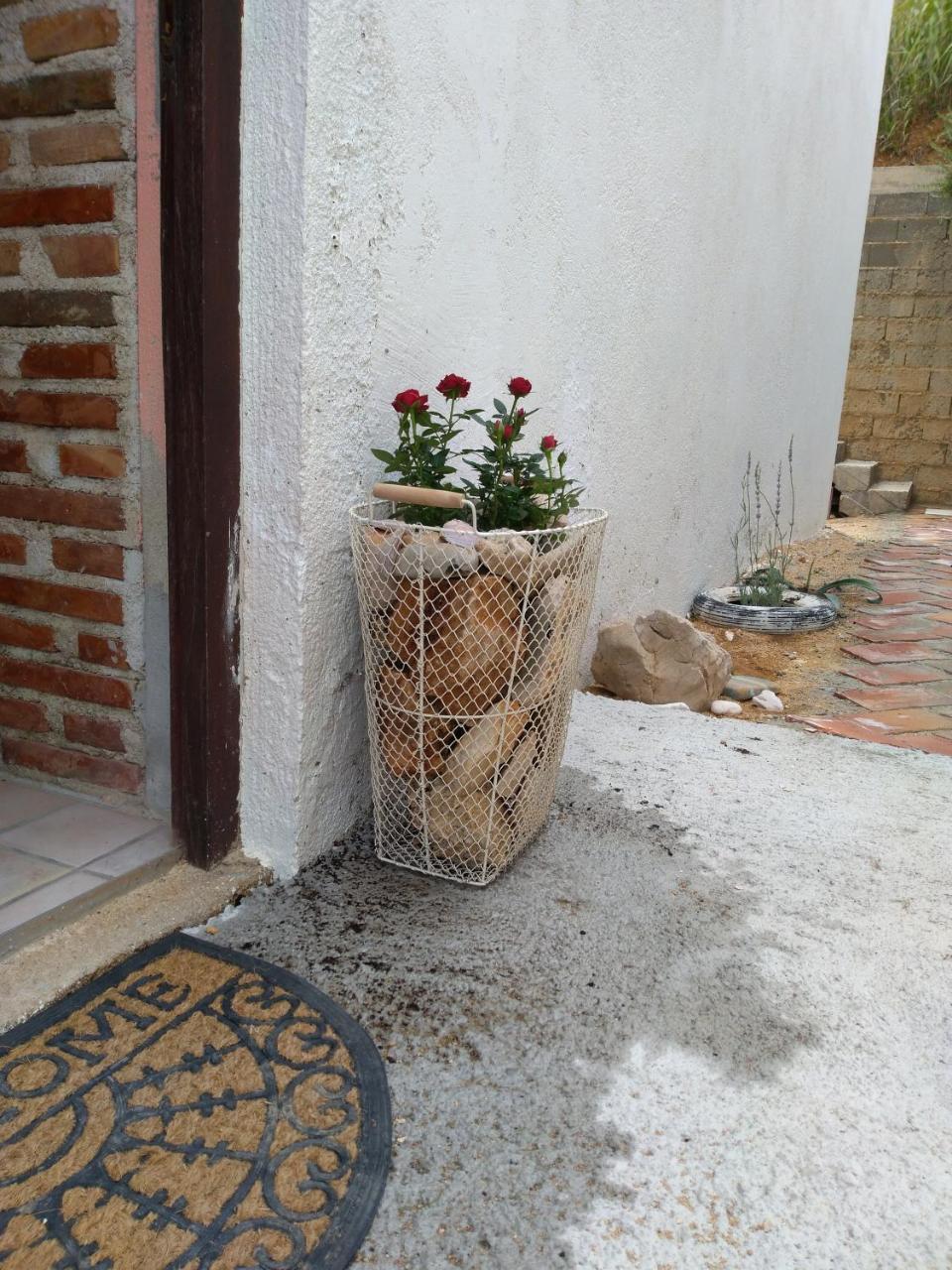 Radnic Apartment Pag Town