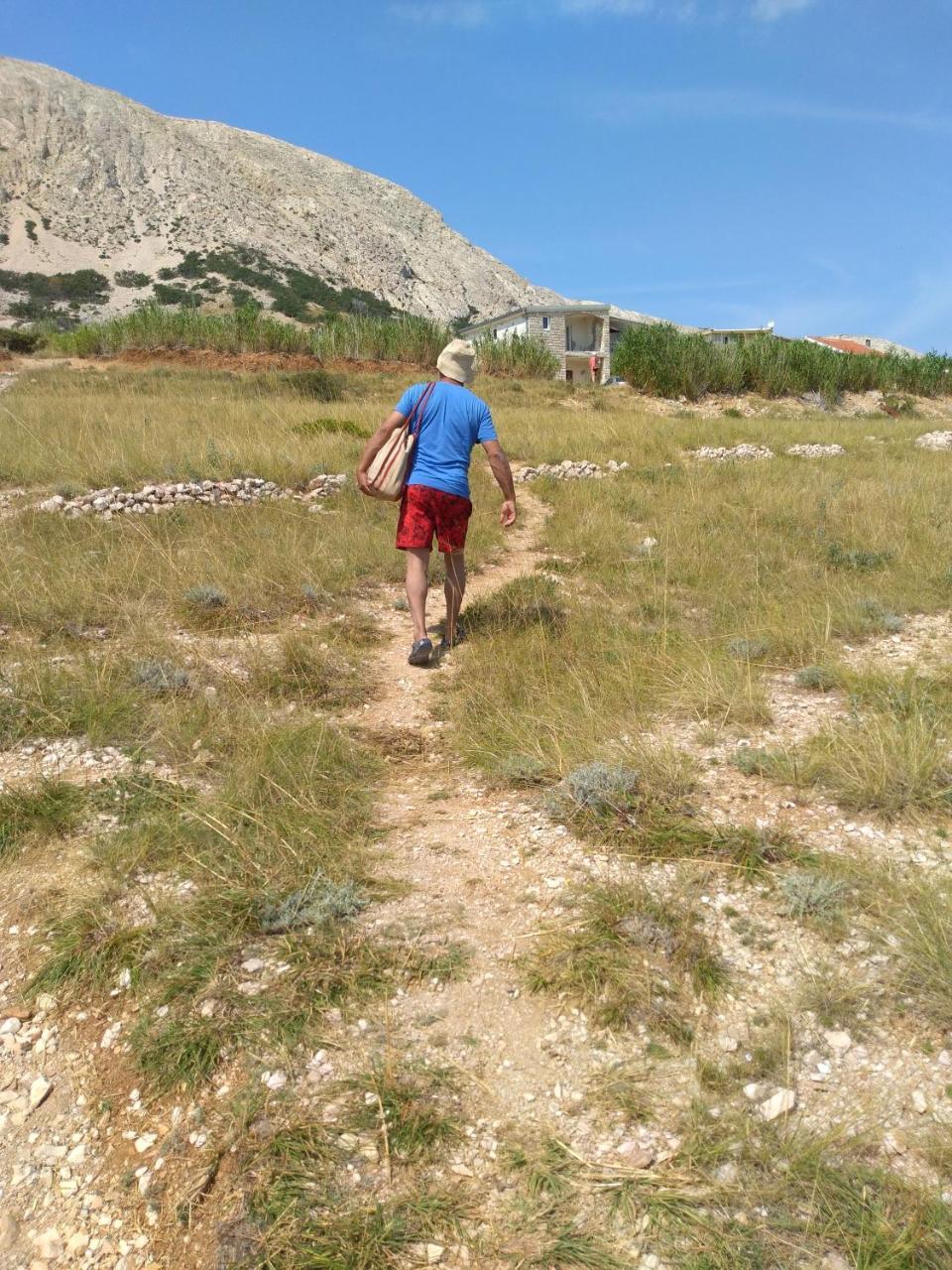 Apartman Radnic